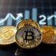 Crypto30x.com Catfish