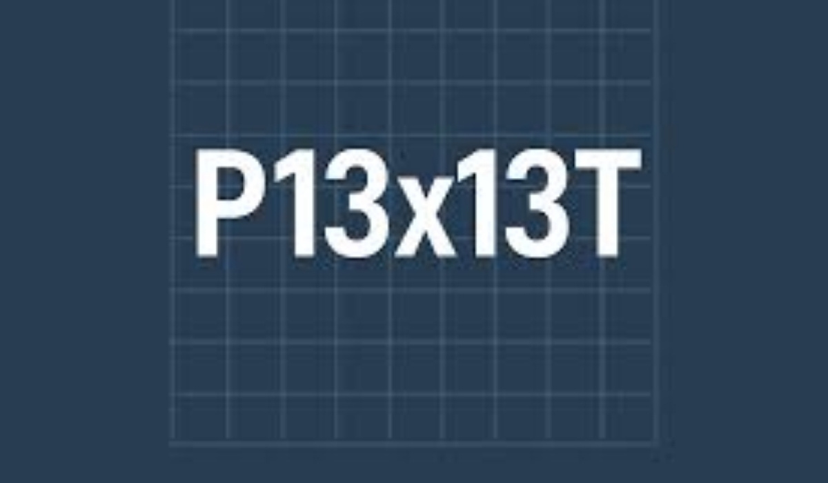 p13x13t