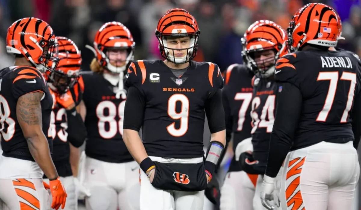 Bengals vs Tennessee Titans Match Player Stats