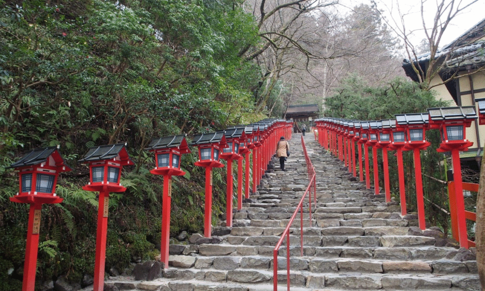 Discover the Best Places to Go in Solihull: Attractions, Parks, Shopping & More