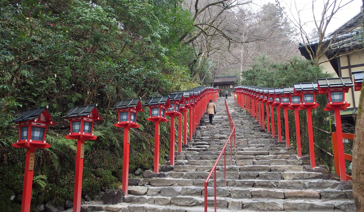 Discover the Best Places to Go in Solihull: Attractions, Parks, Shopping & More