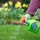 best lawn weed killer