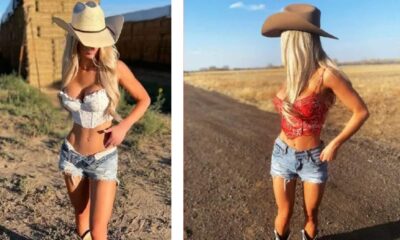 taylor breesey net worth