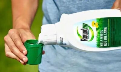 roundup concentrate