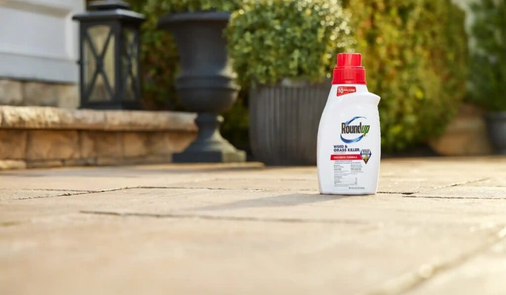 roundup concentrate